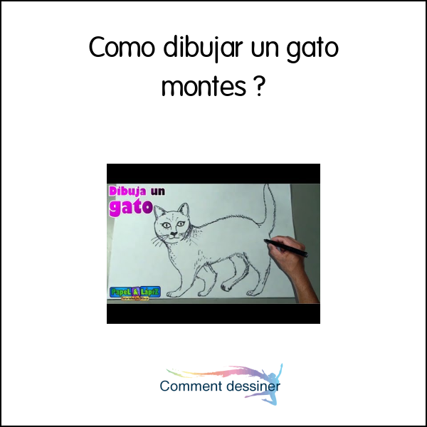 Cómo dibujar un gato montés